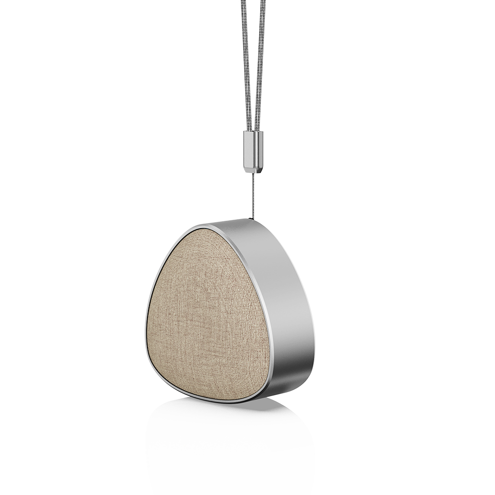 Portable Audio System
